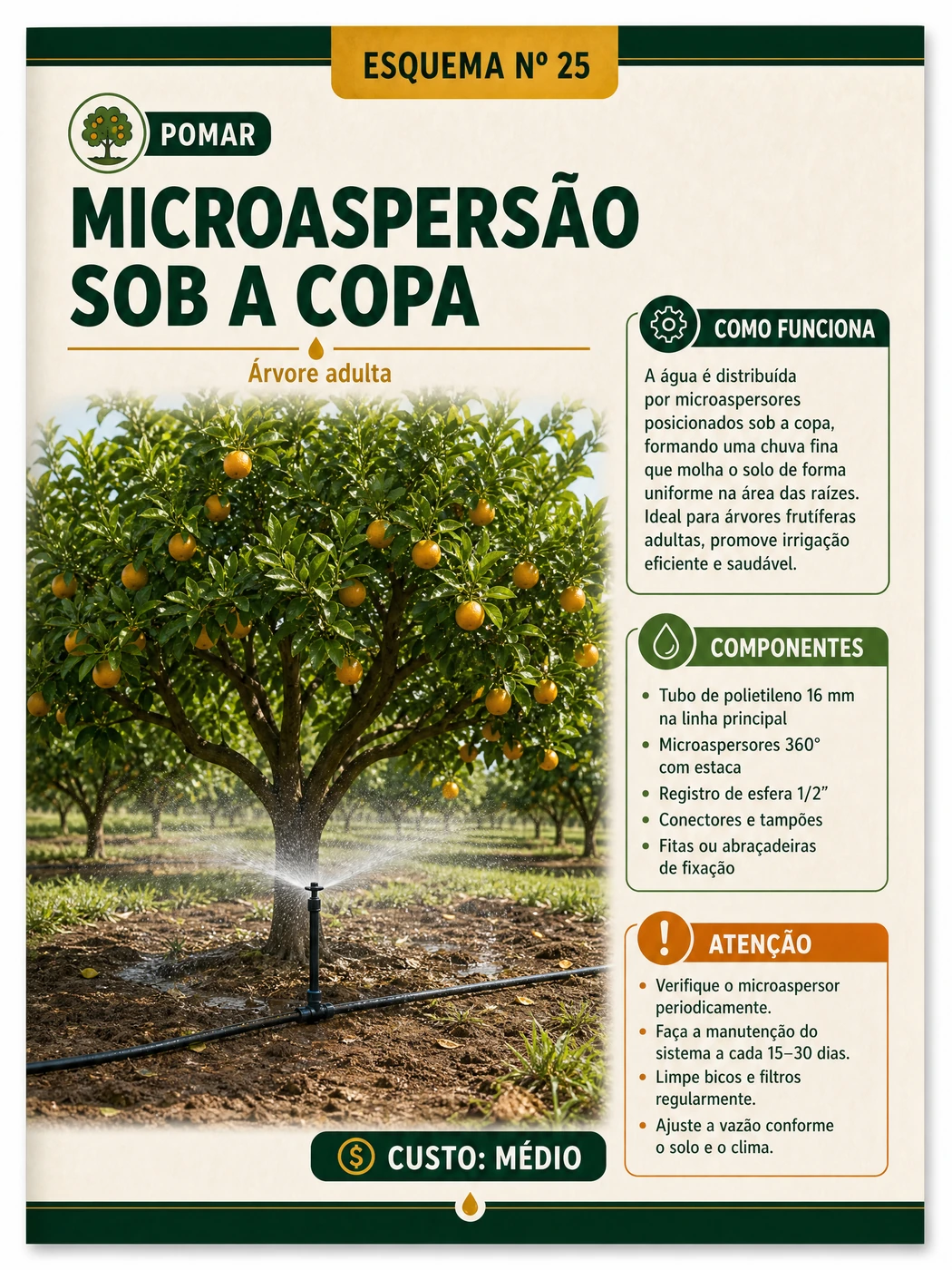 Página sobre microaspersão sob a copa de árvore adulta